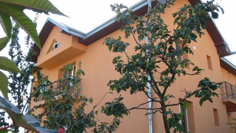 Lary Hostel Suczawa Zewnętrze zdjęcie