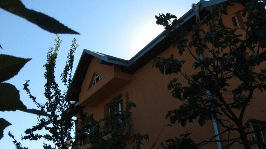 Lary Hostel Suczawa Zewnętrze zdjęcie