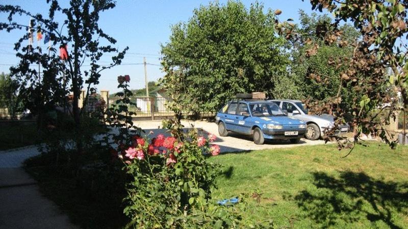 Lary Hostel Suczawa Zewnętrze zdjęcie
