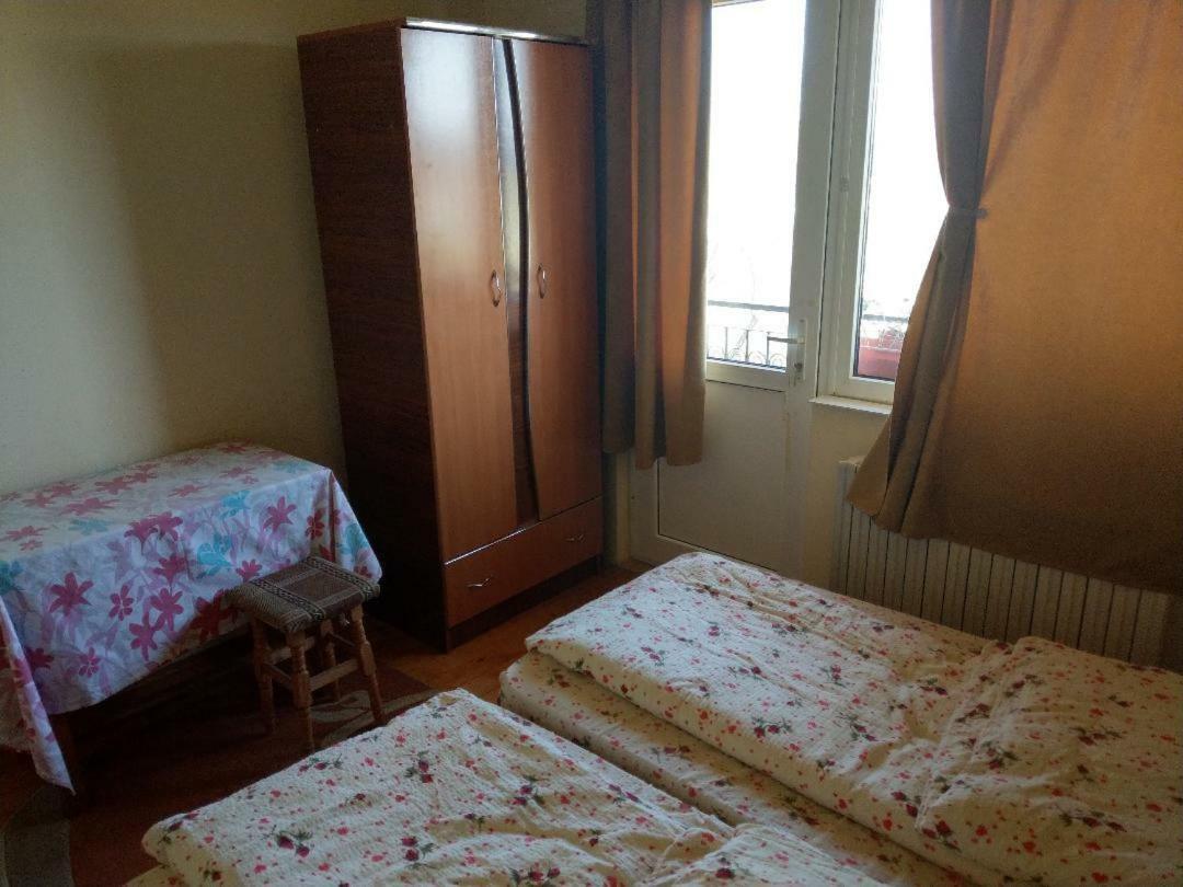 Lary Hostel Suczawa Zewnętrze zdjęcie